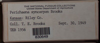 Image Associated With the Occurence